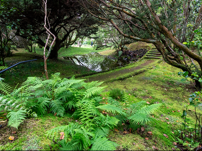 Jardim Botânico do Faial