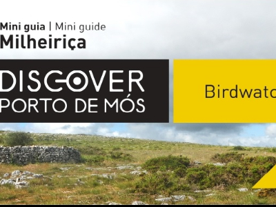 Birdwatching Mini guia - Milheiriça