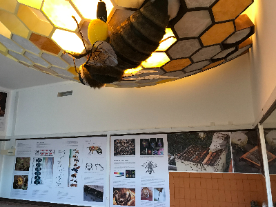 Centro de Interpretação da Abelha e do Mel