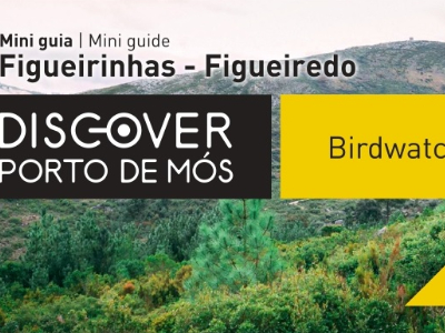 Birdwatching Mini guia - Figueirinhas-Figueiredo