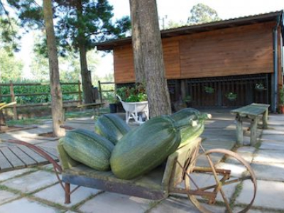 Quinta Piloto de Agricultura Biológica