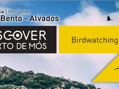 Birdwatchng Mini guia - São Bento - Alvados