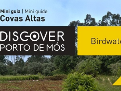 Birdwatching Mini guia - Covas Altas