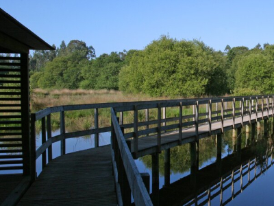 Centro de Interpretação Ambiental das Lagoas de Bertiandos e São Pedro de Arcos
