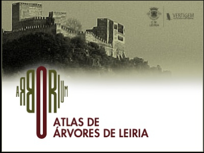 Arborium - Atlas das Árvores de Leiria