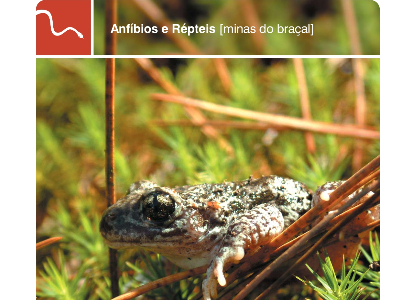 Anfíbios e Répteis - Minas do Braçal