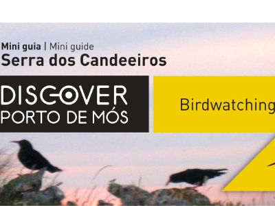 Birdwatching Mini guia - Serra dos Candeeiros