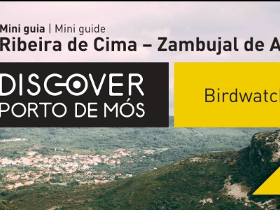 Birdwatching Mini guia - Ribeira de Cima-Zambujal de Alcaria